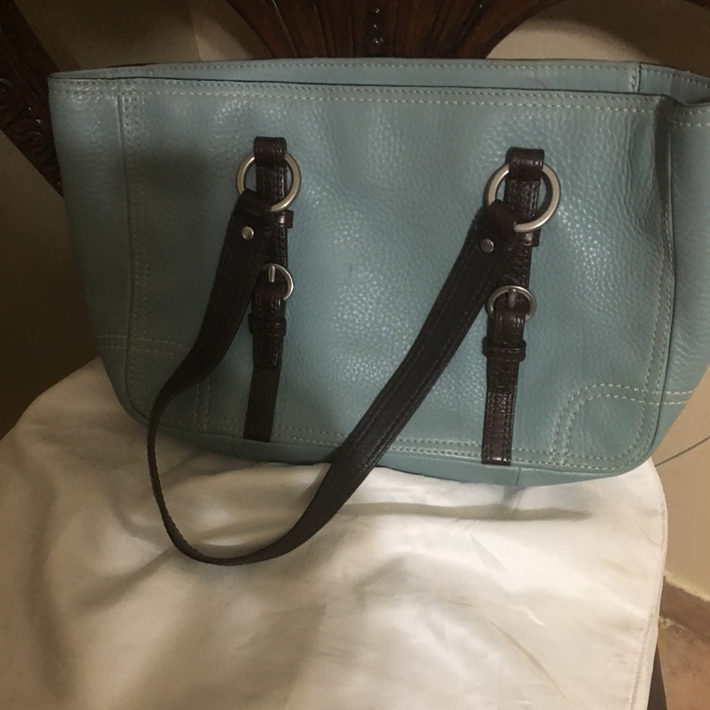 Blue Leather Coach Purse